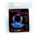  Cockring Vibrant :  2 jeux de piles inclus. 